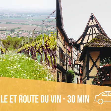 Les Pinots D'alsace - 3 Climatises Avec Tv - Proche Europa Park Nocleg ze śniadaniem Boofzheim