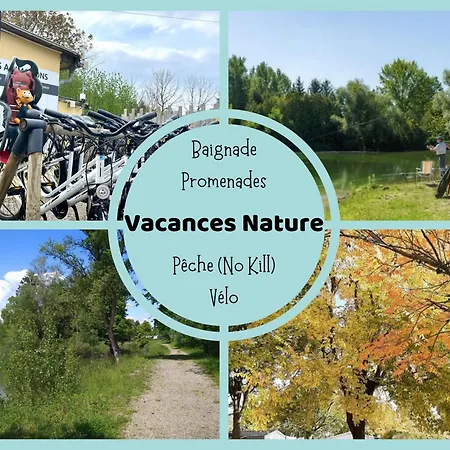 Les Pinots D'alsace - 3 Climatises Avec Tv - Proche Europa Park Boofzheim