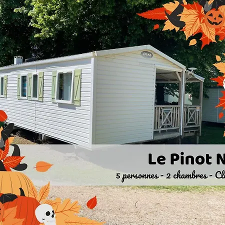 Les Pinots D'alsace - 3 Climatises Avec Tv - Proche Europa Park 3*