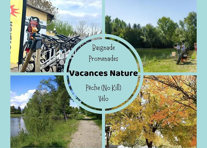 Les Pinots D'alsace Boofzheim